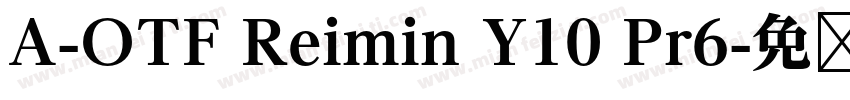 A-OTF Reimin Y10 Pr6字体转换